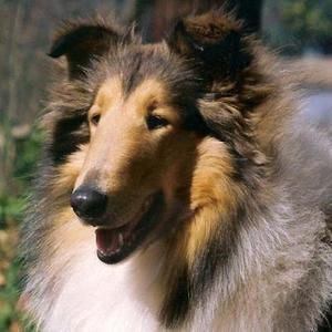 Meet your Posher, Susan h.